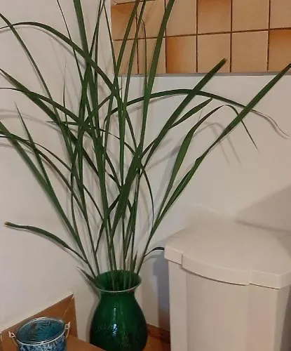 Makfa Vendeghaz Konukevi